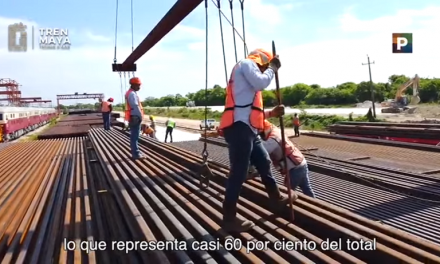 Construcción del Tren Maya