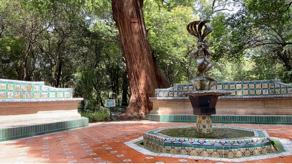 Avances del Proyecto “Chapultepec: Naturaleza y Cultura” en la Ciudad de México