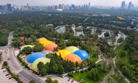 Avances del Proyecto “Chapultepec: Naturaleza y Cultura” en la Ciudad de México