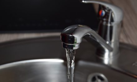 Conagua realizará trabajos en el Ramal Los Reyes-Ecatepec